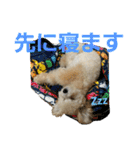 momotarou-1（個別スタンプ：34）