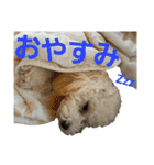 momotarou-1（個別スタンプ：39）