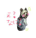 muku.（個別スタンプ：3）