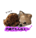 Kswaii dog4（個別スタンプ：9）