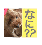 愛犬と生活（個別スタンプ：3）