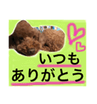 愛犬と生活（個別スタンプ：6）