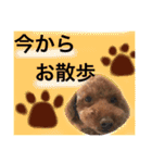 愛犬と生活（個別スタンプ：18）