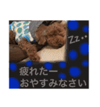 愛犬と生活（個別スタンプ：21）