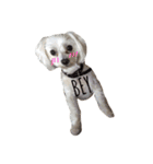 茶色の犬と白い犬（個別スタンプ：2）