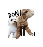 茶色の犬と白い犬（個別スタンプ：6）