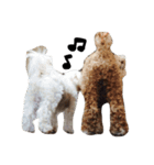 茶色の犬と白い犬（個別スタンプ：7）