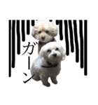 茶色の犬と白い犬（個別スタンプ：9）