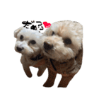 茶色の犬と白い犬（個別スタンプ：10）