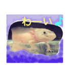 miiiko's fam（個別スタンプ：3）