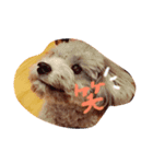 はらだりんた（個別スタンプ：7）