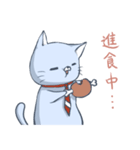 猫サラリーマン－ミバ（個別スタンプ：17）