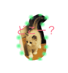 ひめちぎんしし（個別スタンプ：8）
