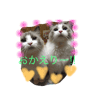 ひめちぎんしし（個別スタンプ：10）