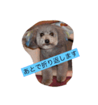 keita.kami（個別スタンプ：3）