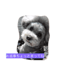 keita.kami（個別スタンプ：7）