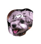 keita.kami（個別スタンプ：9）