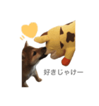 柴犬るーくん (広島弁)（個別スタンプ：4）