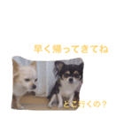 ももららの日常（個別スタンプ：3）