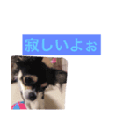 ももららの日常（個別スタンプ：6）