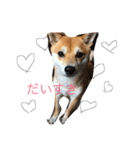 ライチらいふ（個別スタンプ：10）