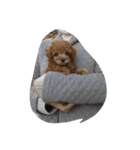 little-prince-you（個別スタンプ：3）