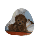 little-prince-you（個別スタンプ：4）
