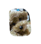 little-prince-you（個別スタンプ：10）