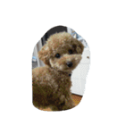 little-prince-you（個別スタンプ：11）