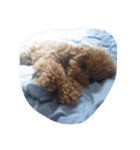 little-prince-you（個別スタンプ：14）
