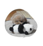 little-prince-you（個別スタンプ：18）