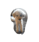 little-prince-you（個別スタンプ：22）