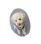 little-prince-you（個別スタンプ：25）