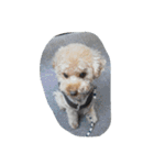little-prince-you（個別スタンプ：28）
