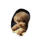 little-prince-you（個別スタンプ：29）