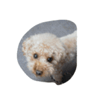 little-prince-you（個別スタンプ：30）