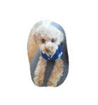 little-prince-you（個別スタンプ：31）