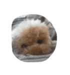 little-prince-you（個別スタンプ：34）