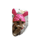 little-prince-you（個別スタンプ：36）