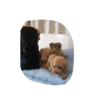 Series Three Prince-you（個別スタンプ：4）