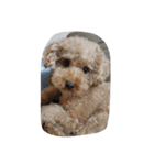 Series Three Prince-you（個別スタンプ：5）