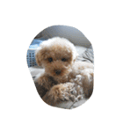 Series Three Prince-you（個別スタンプ：9）