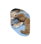 Series Three Prince-you（個別スタンプ：14）