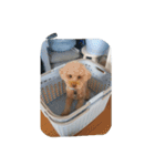Series Three Prince-you（個別スタンプ：20）