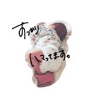 奏佑さん2（個別スタンプ：11）