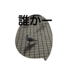 神奈川の鳥たちの様子（個別スタンプ：1）