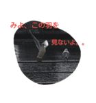 神奈川の鳥たちの様子（個別スタンプ：2）