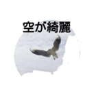 神奈川の鳥たちの様子（個別スタンプ：3）