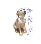 Loveco3（個別スタンプ：19）