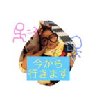 大小スタンプ（個別スタンプ：8）
